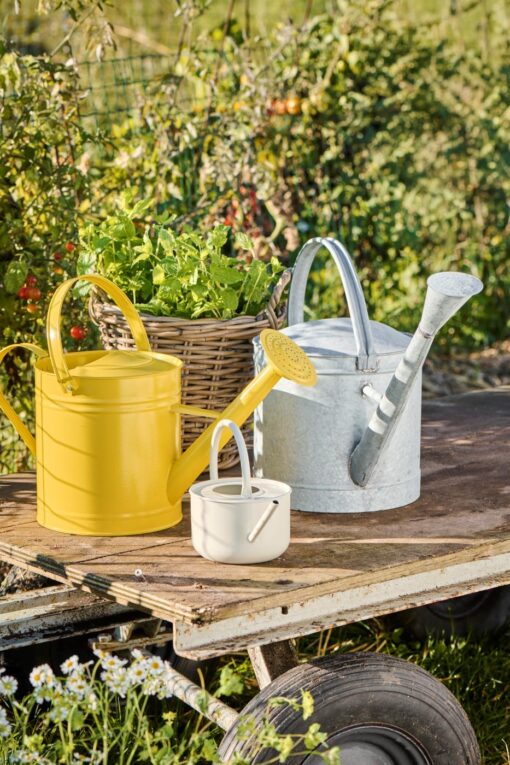 Gieter fog 0.95 ltr - Afbeelding 2