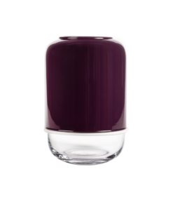 Capsule vase clear/purple