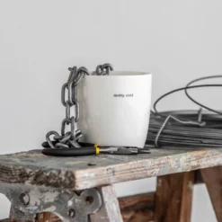 Alternative view of Tas Daddy cool