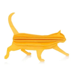 Cat M Warm yellow